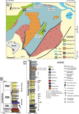 New Species of Macroalgae from Tamengo Formation, Ediacaran, Brazil
